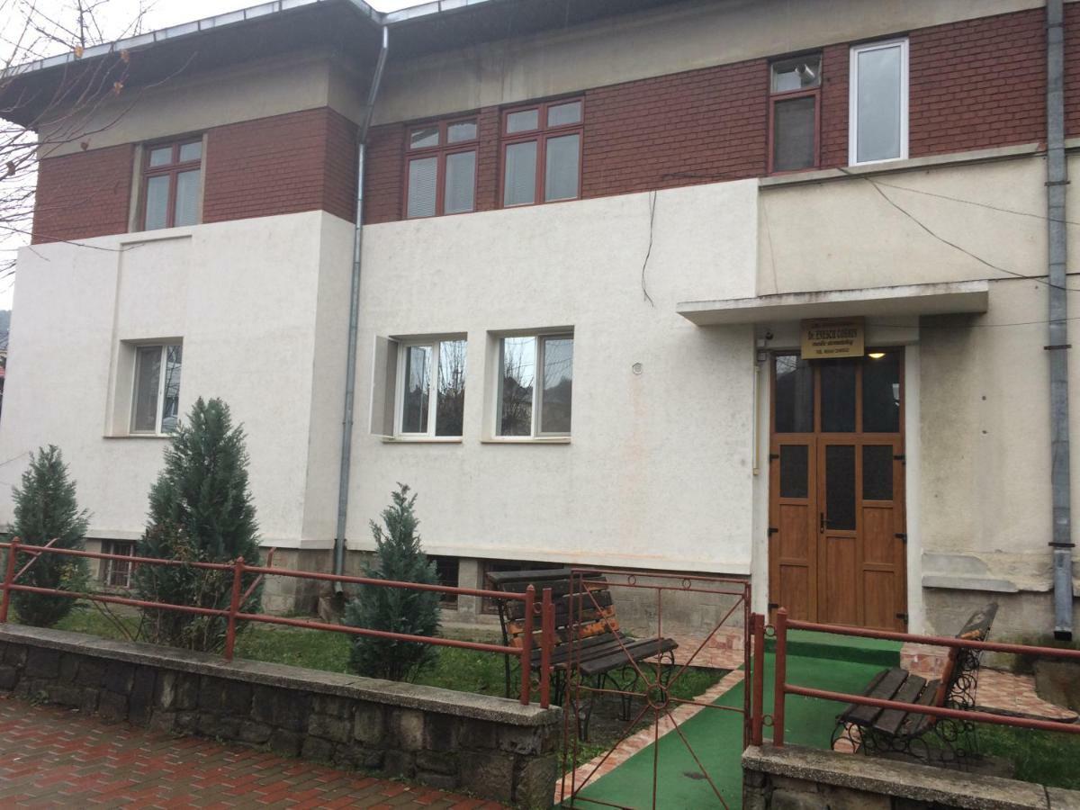 Garsoniera Mandrilor Apartment Slănic Exterior photo